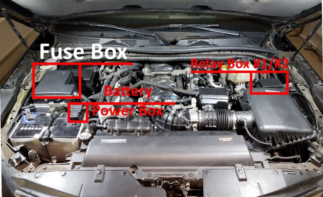Location of the fuse box and the relay boxes in the engine compartment of the car